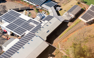 Energia solar atinge marca histórica em capacidade instalada no Brasil