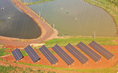 Brasil ultrapassa marca de 15 GW em capacidade solar em operação